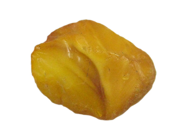 Фото Янтарь в природе